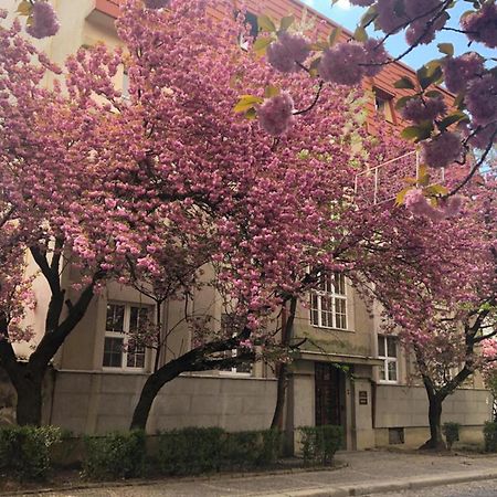 Апарт-Отель "Галаговъ" Ujhorod Exterior foto